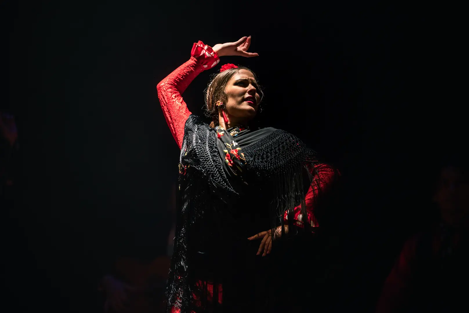 Bailaora de flamenco en acción