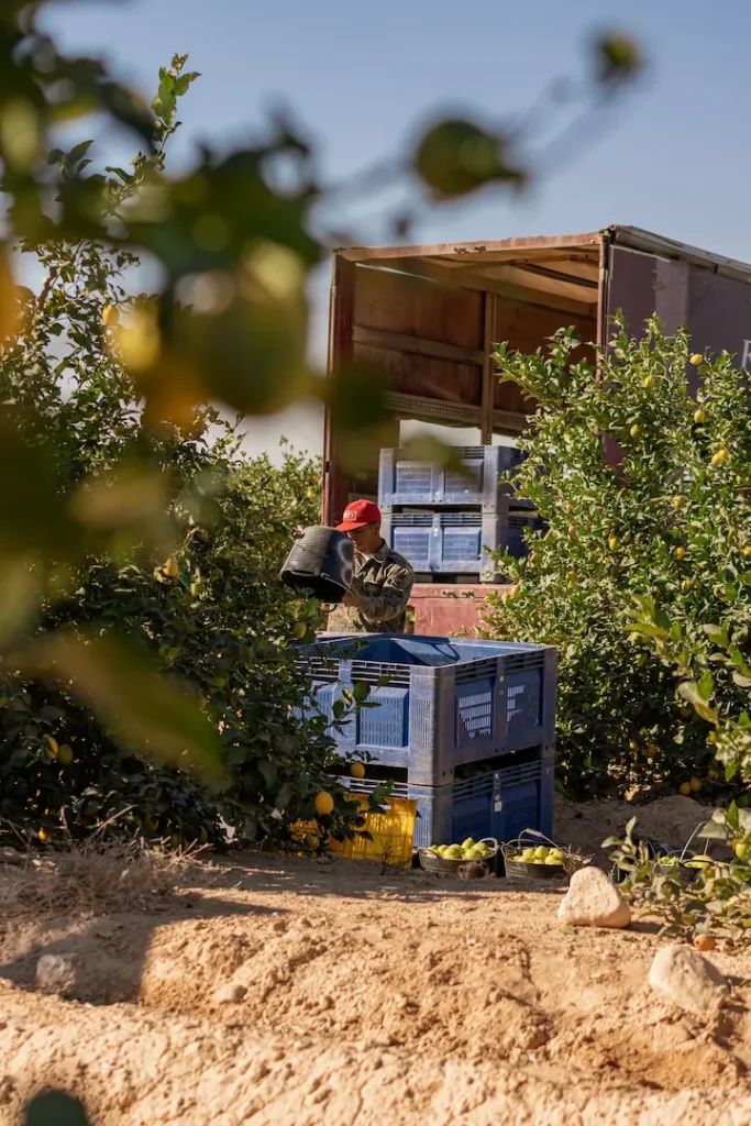 Fotografía de campo en finca agrícola