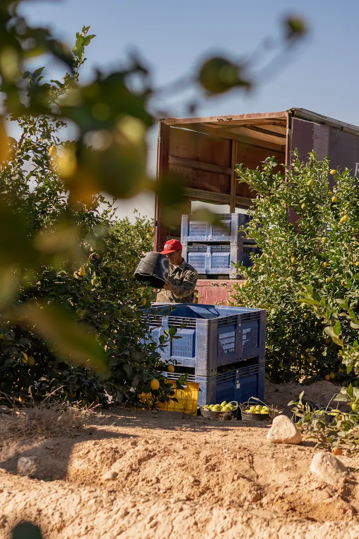 Fotografía de campo en finca agrícola
